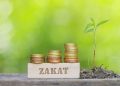 How much zakat do you pay