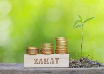 How much zakat do you pay