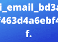 How to Solve [pii_email_bd3a8df463d4a6ebf4ef] Error