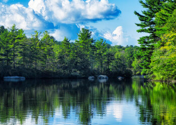 Fun Things to Do in Connecticut for Couples