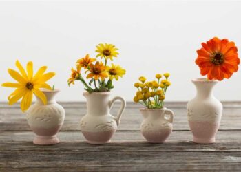 Best Yellow Flowers to Send Your Loved Ones