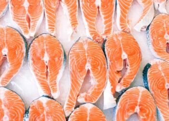 Precautions That Should Be Taken When Handling Seafood