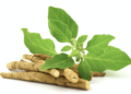 What is Ashwagandha?
