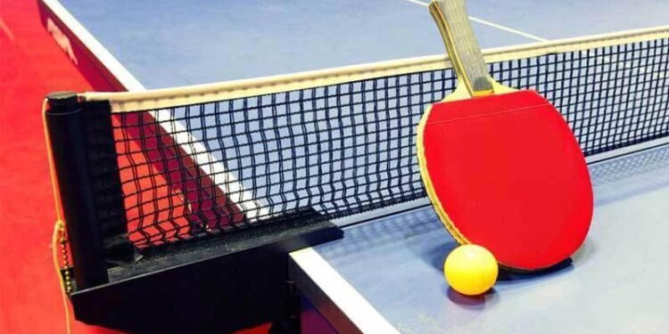 A Complete Guide About 3-Star Ping Pong Balls