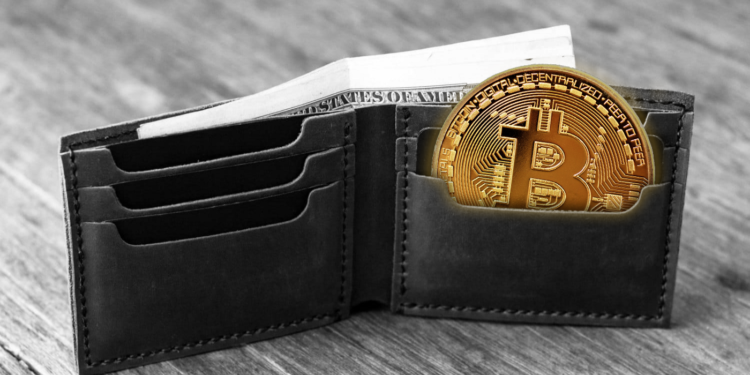 Can You Store Any Kind of Crypto in your Wallet?