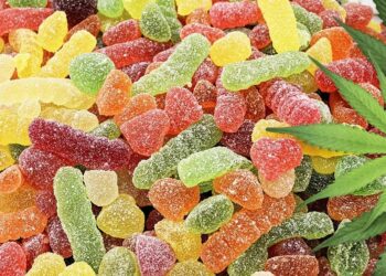 Charlotte’s Web CBD Review