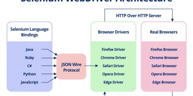 A Complete Guide On Selenium And Its Components