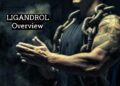 LIGANDROL or LGD 4033 Overview
