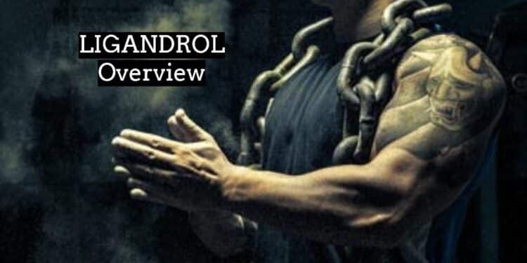 LIGANDROL or LGD 4033 Overview