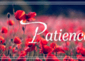 Learn to Sit Back and Observe: The Art of Patience and Wisdom