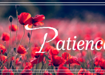 Learn to Sit Back and Observe: The Art of Patience and Wisdom