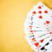 How to Play Free Spider Solitaire